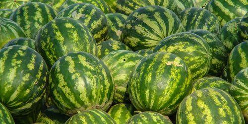 娱乐吃瓜酱特殊人群