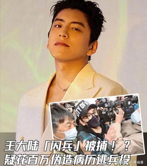 吃瓜娱乐王大陆,揭秘娱乐圈幕后故事